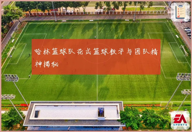 哈林篮球队花式篮球教学与团队精神揭秘