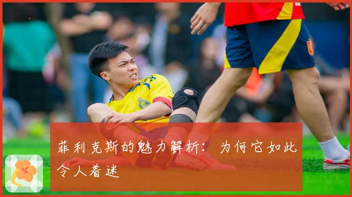 菲利克斯的魅力解析：为何它如此令人着迷