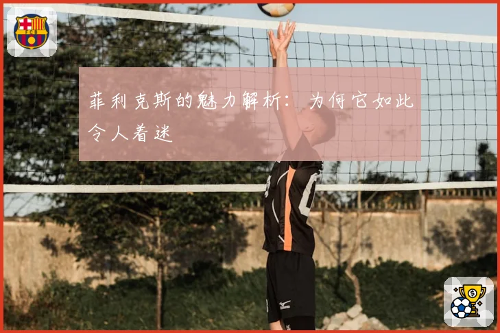 菲利克斯的魅力解析:为何它如此令人着迷